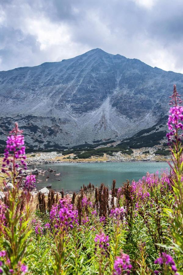 Borovets Gardens B30 Morunov Apart ภายนอก รูปภาพ